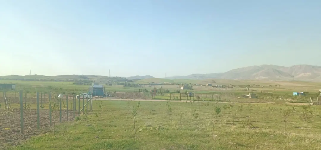باغ زمین کورانه شینقر قلفتی معاوضه زیر قیمت گزاشتم