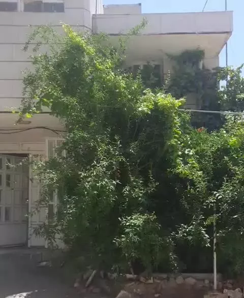 اجاره خانه ویلایی ، فاز دوم کیو