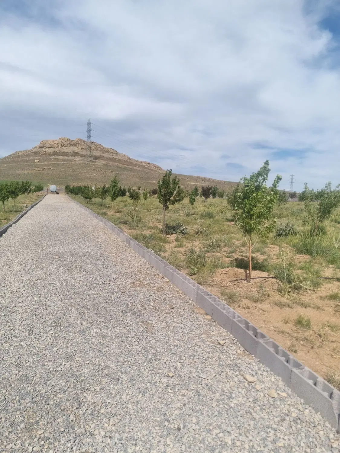 زمین باغی پهن اباد