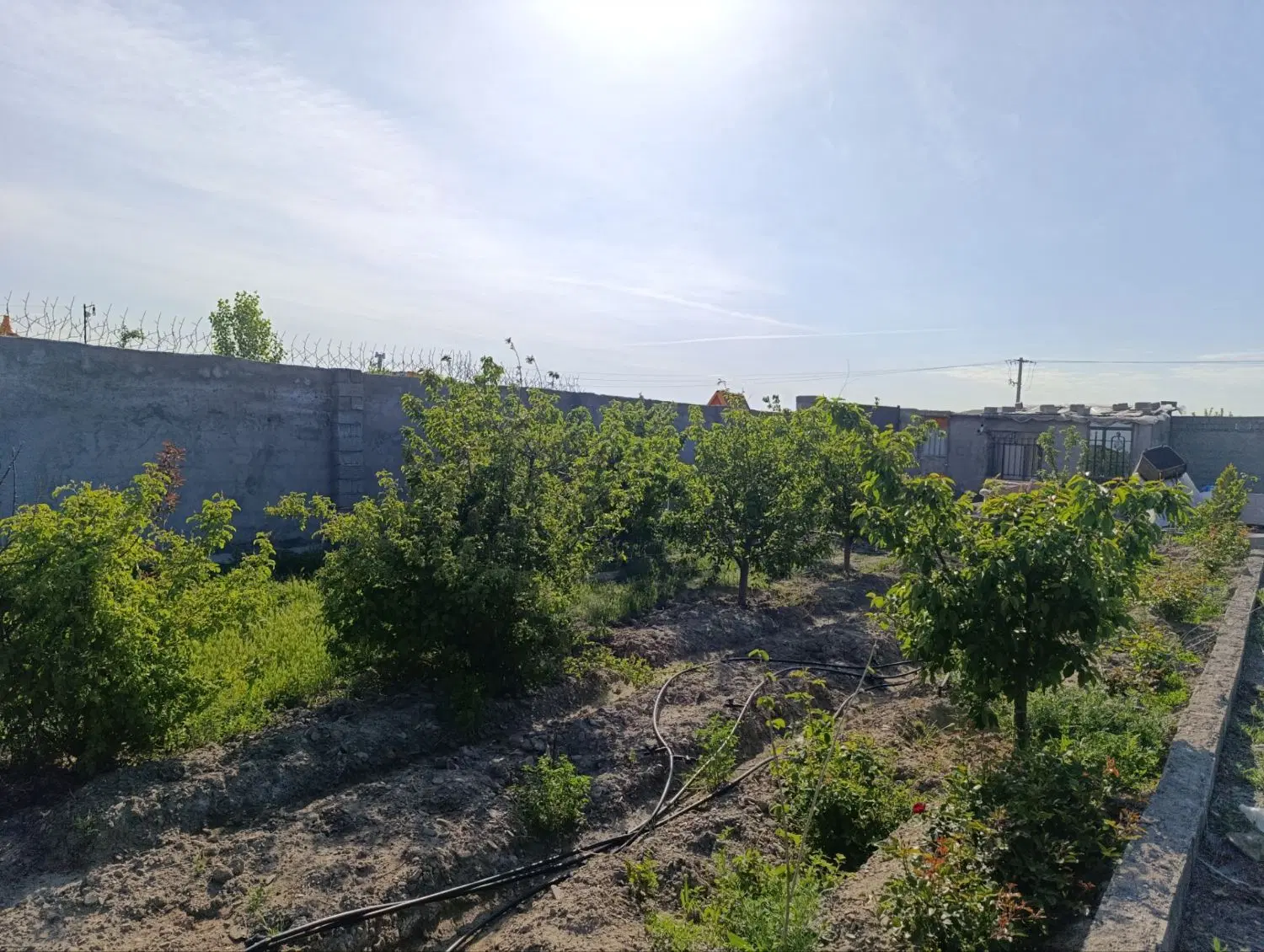 فروش باغ ویلای