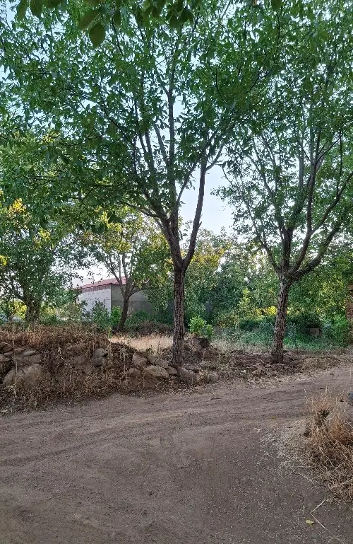 زمین گردوزار