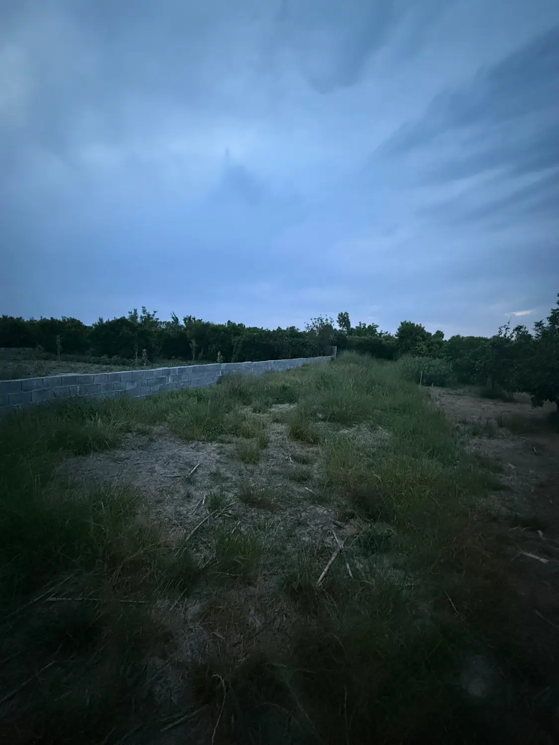 ۲۵۰ متر زمین زراعی مسکونی