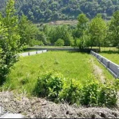 زمین