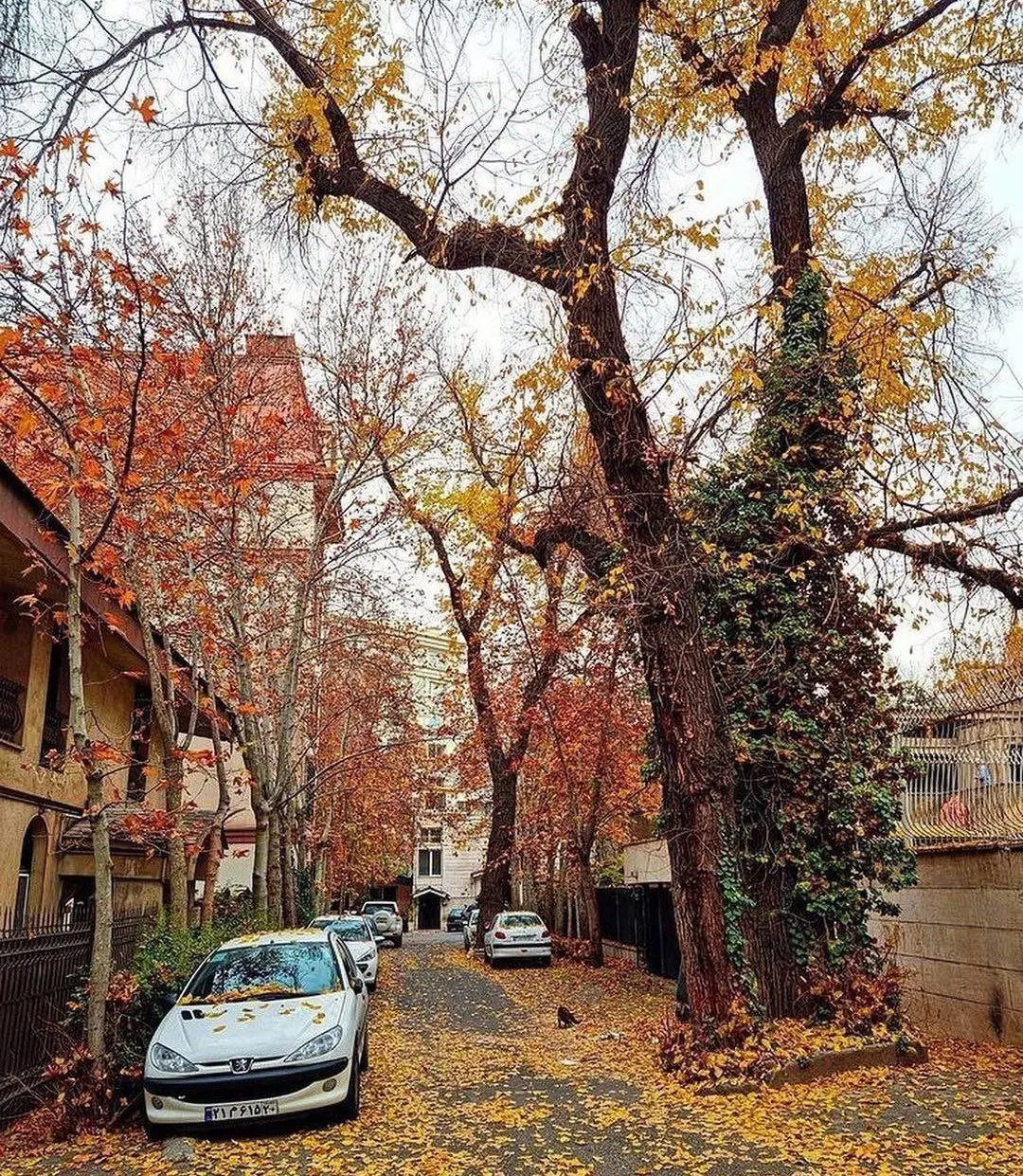 فروش خانه ویلایی 250متری