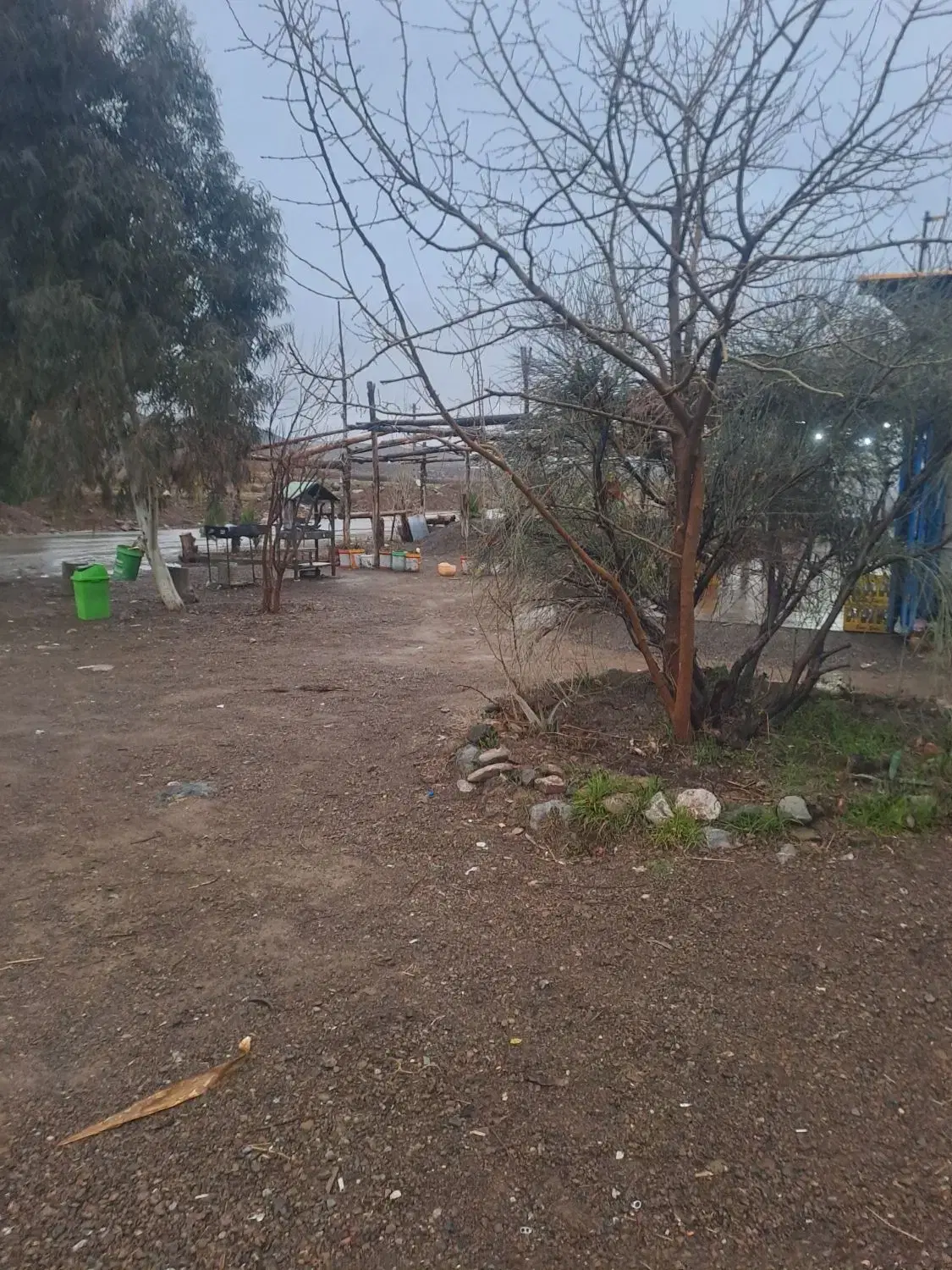 5 هکتار زمین کشاورزی مرغوب