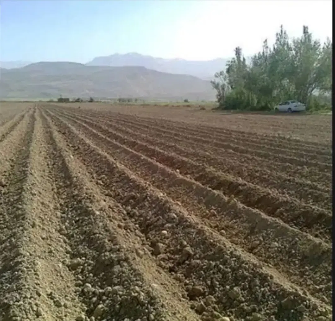 زمین کشاورزی