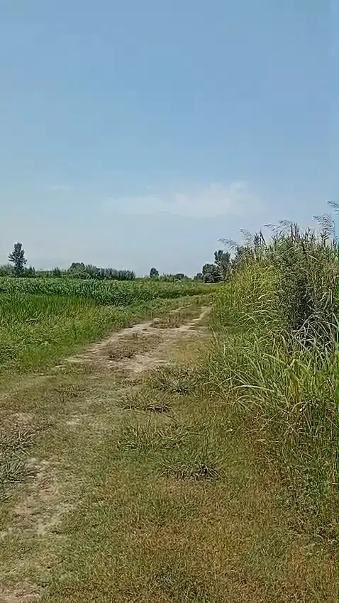 زمین