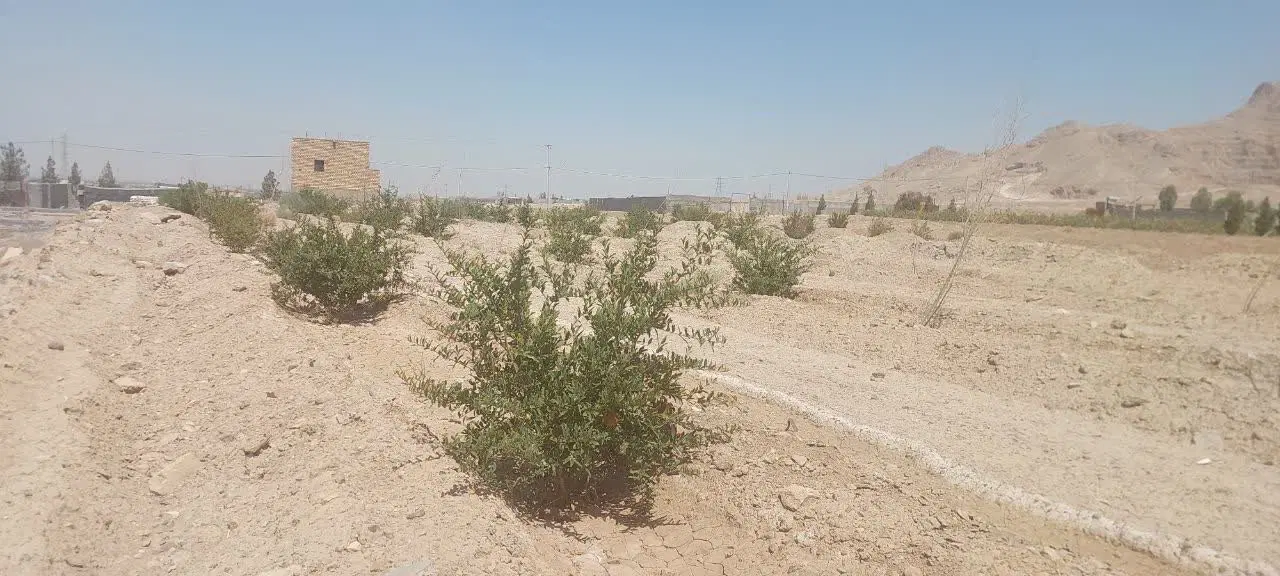 فروش باغ