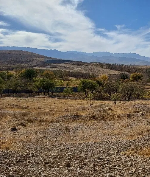 زمین باغی