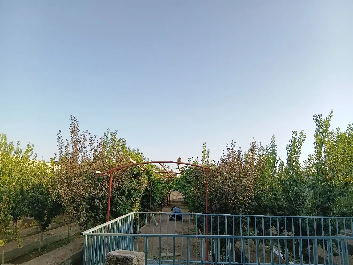 باغ ۷۸۰ متری
