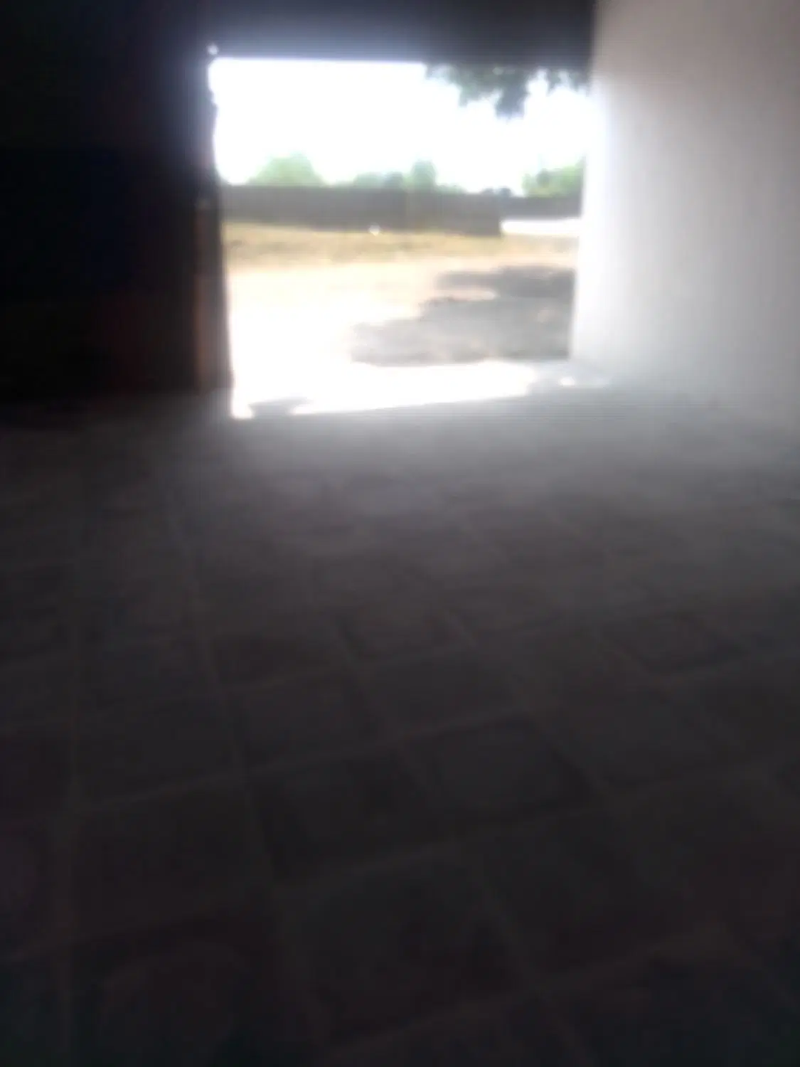 مغازه بر خیابان اصلی