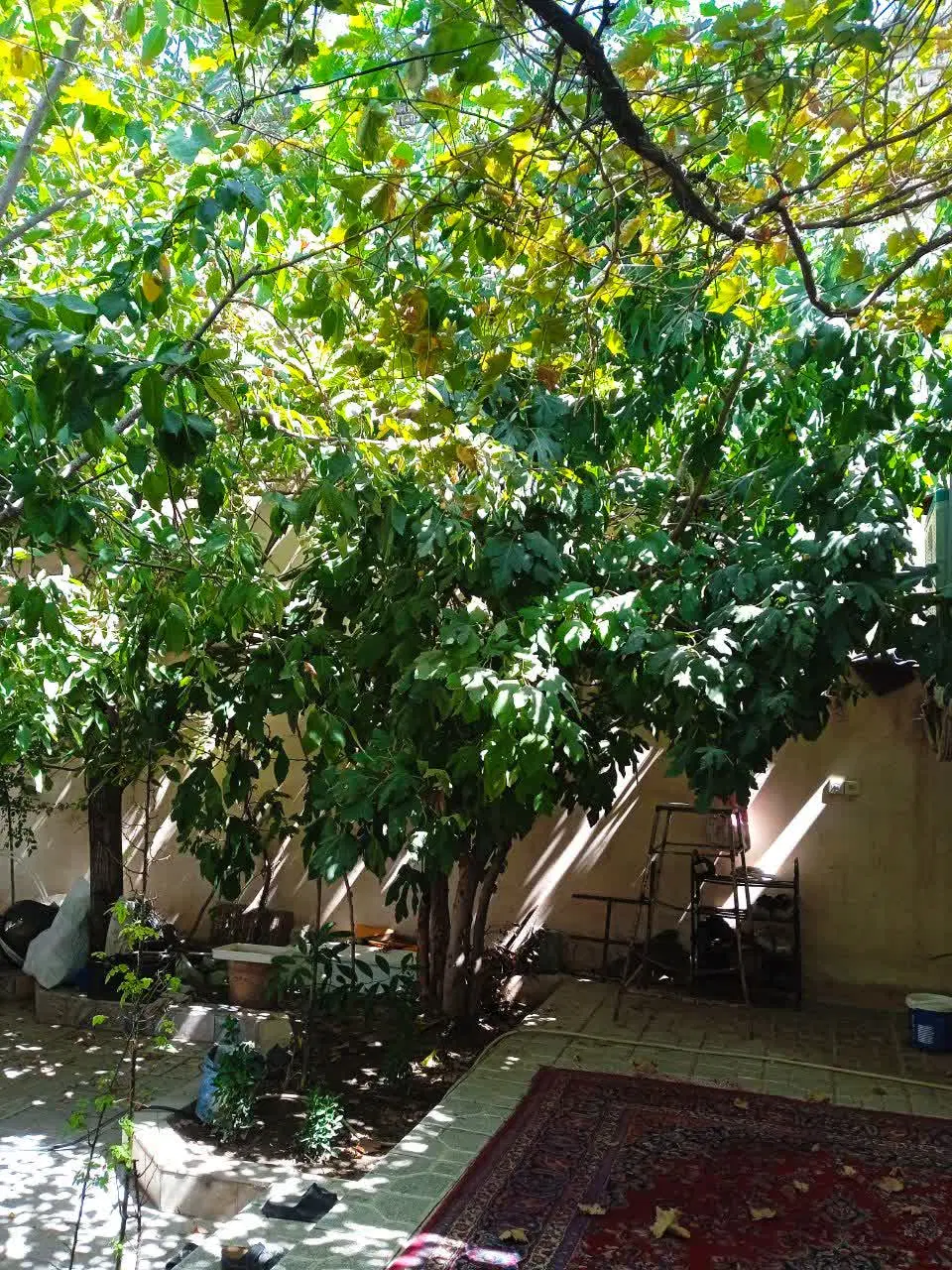 حیاط 240 متری ناظریه 3.850