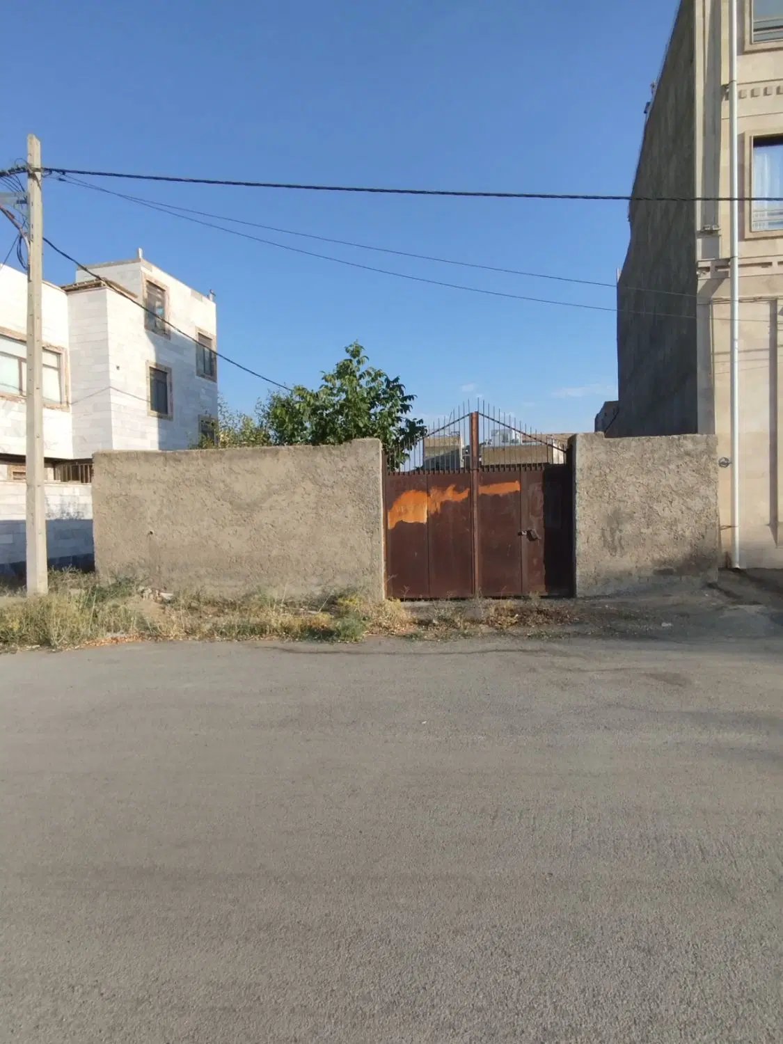 زمین
