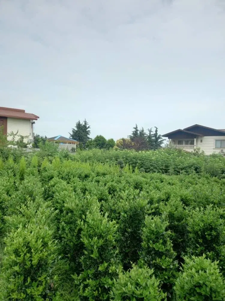 اجاره واحد مسکونی طبقه چهار