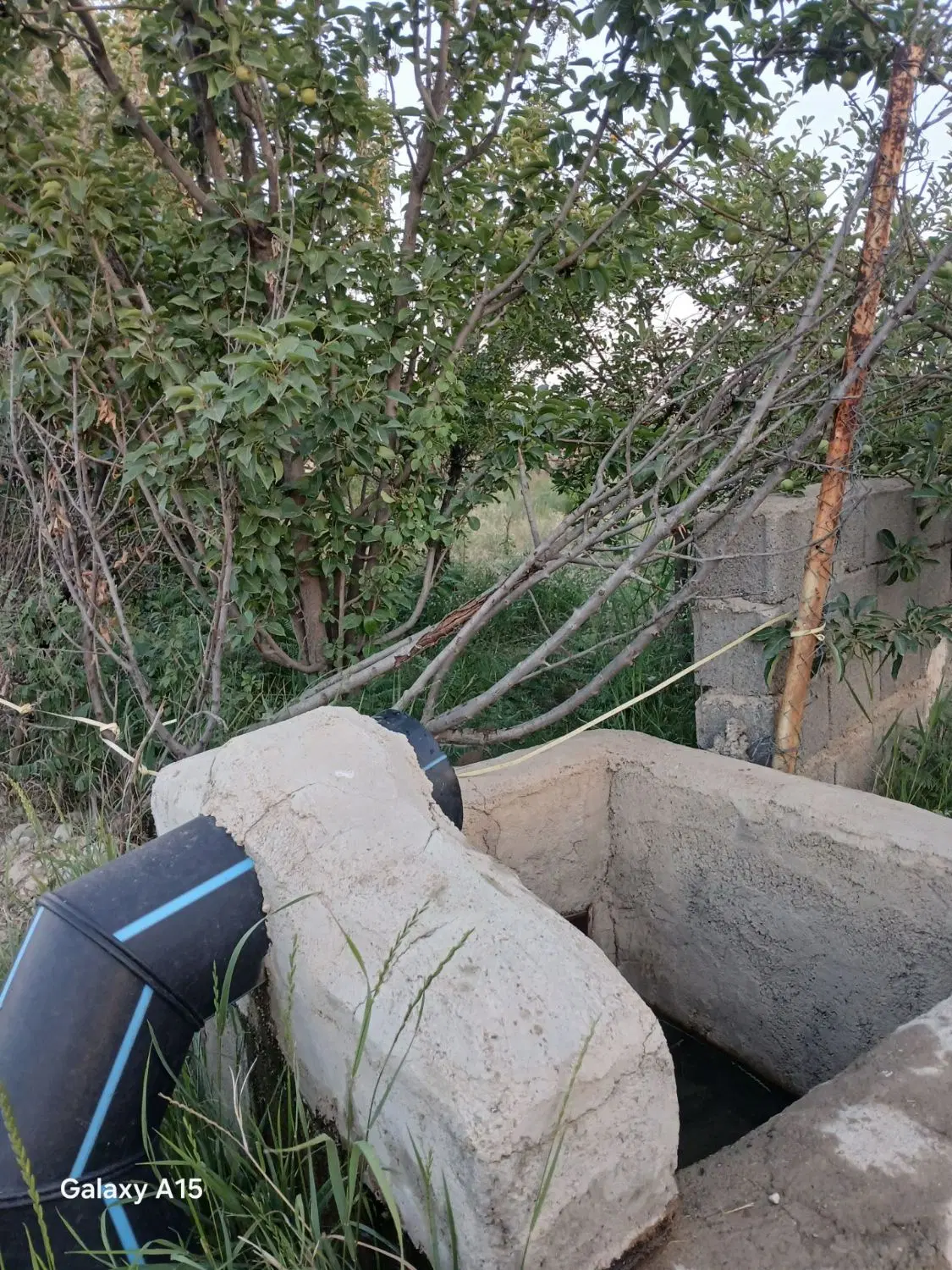 باغ حاجی بیگ ۱۲۵۰ متری