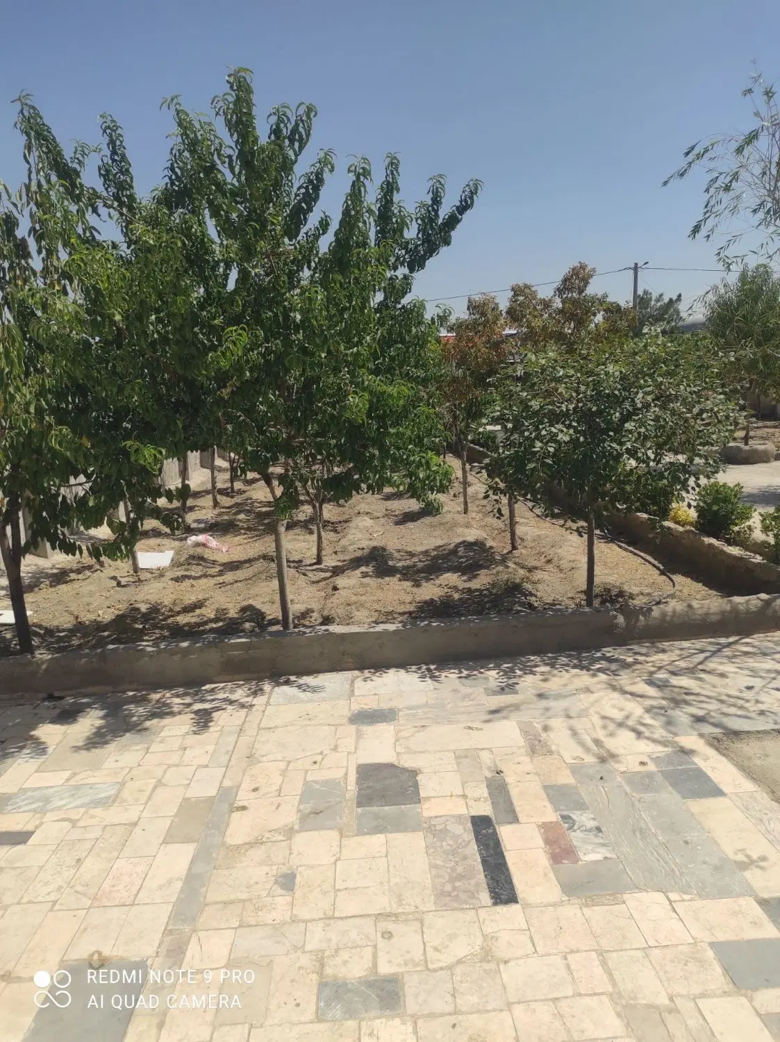 کاهو باغ ویلای شکار