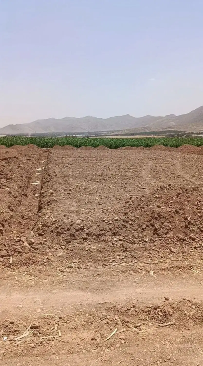 فروش تعدادی زمین باغشهری در ملوسجان زیر قیمت منطقه