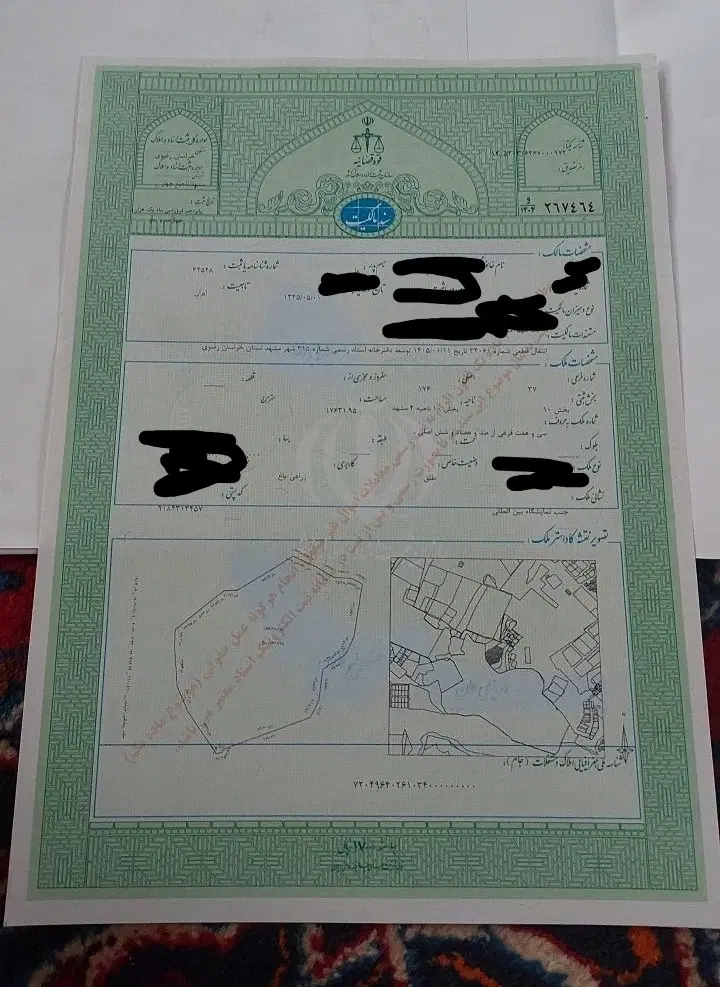 زمین سند تک برگ سبز