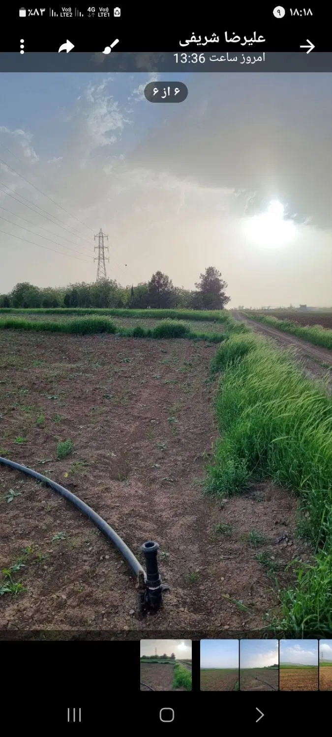 زمین زراعتی سند دار
