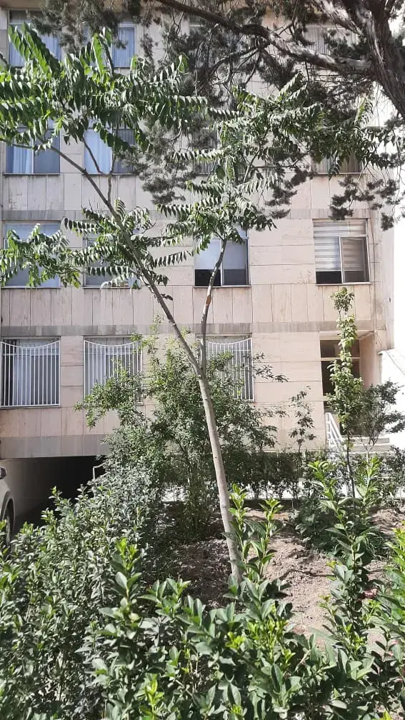۸۲ متر بر فرجام غربی  فول ط اول