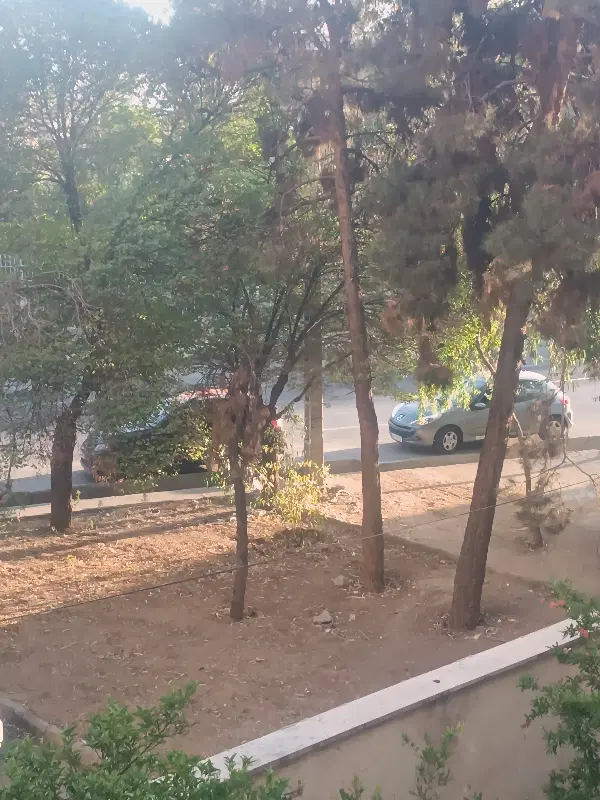 فروش زمین شناژ آماده