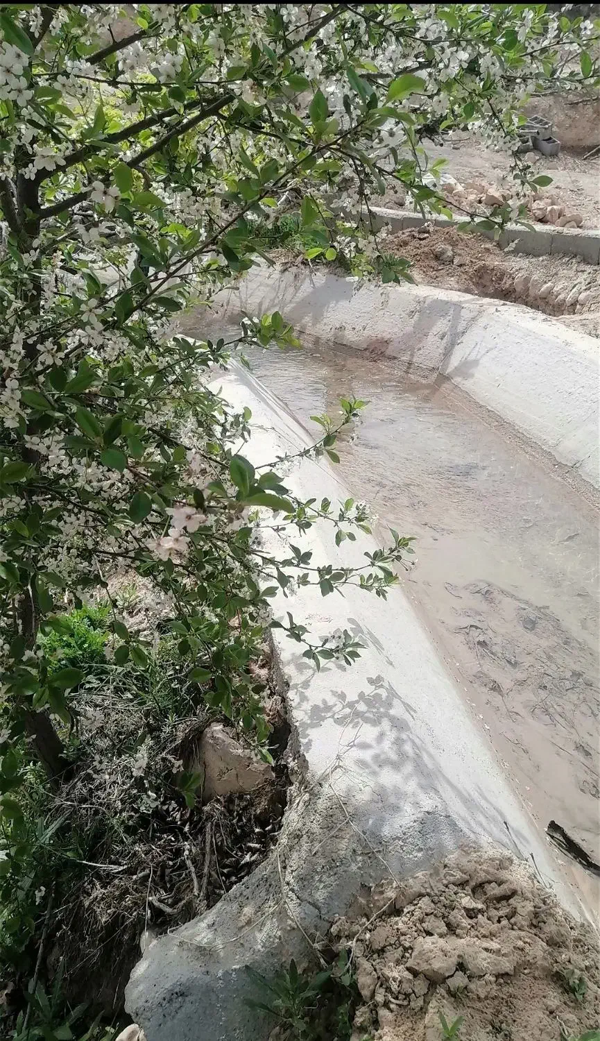 زمین، باغی و کشاورزی