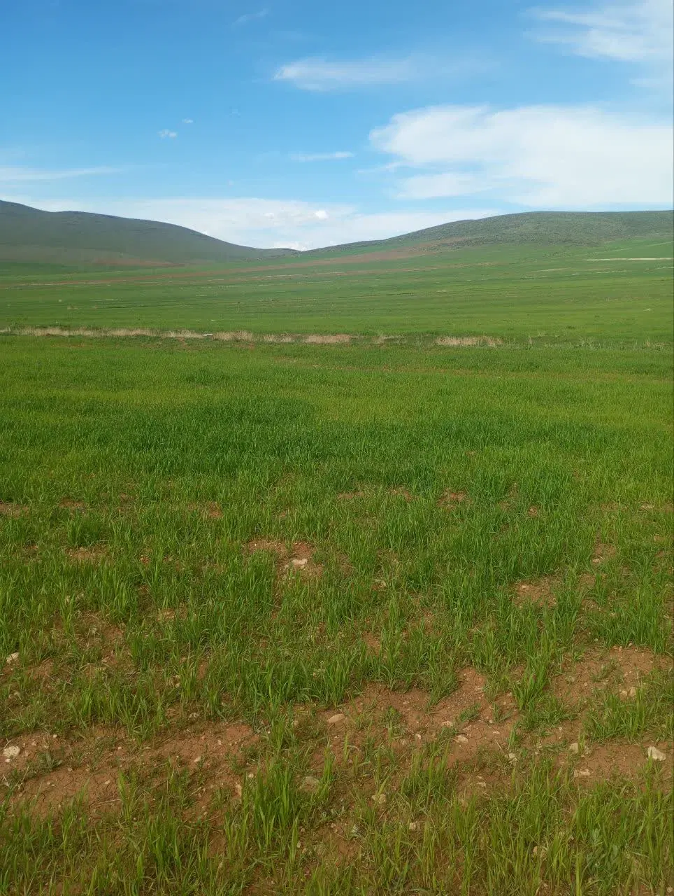 زمین داخل طرح هادی ۸۰۰میلیون