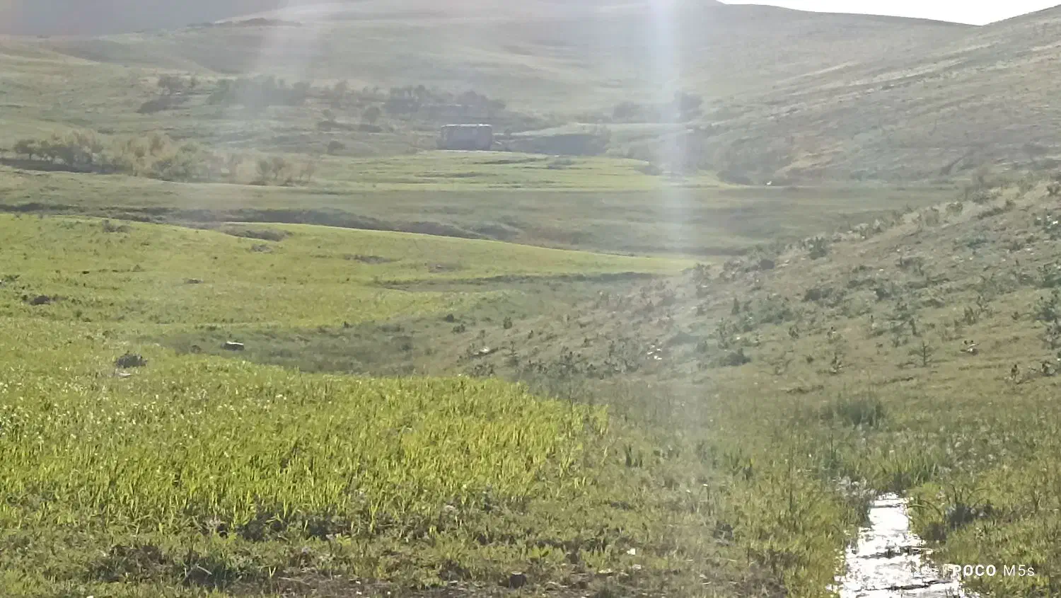 باغ و زمین کشاورزی