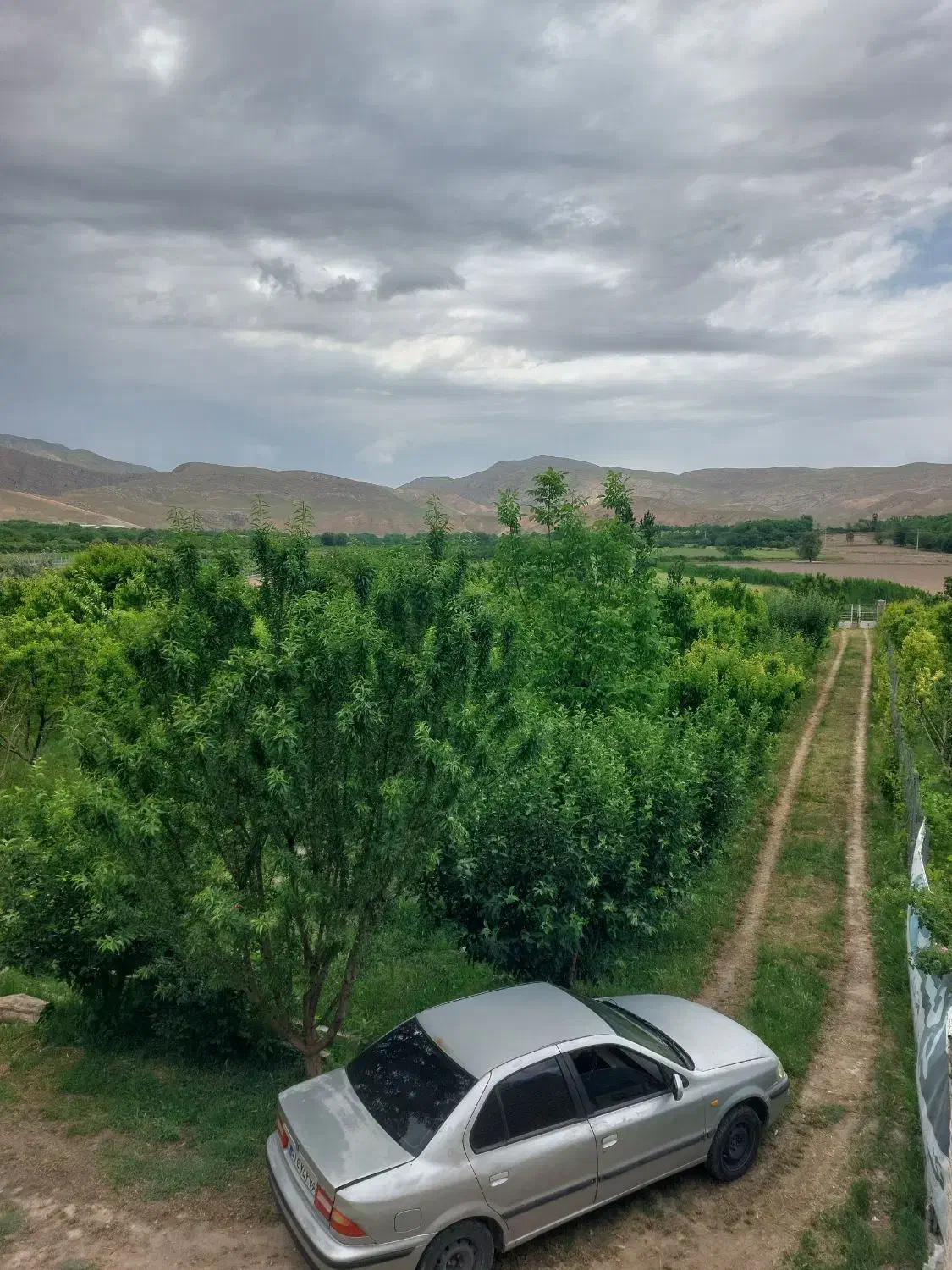 باغ جاده گاز نزدیکی روستای قارلق