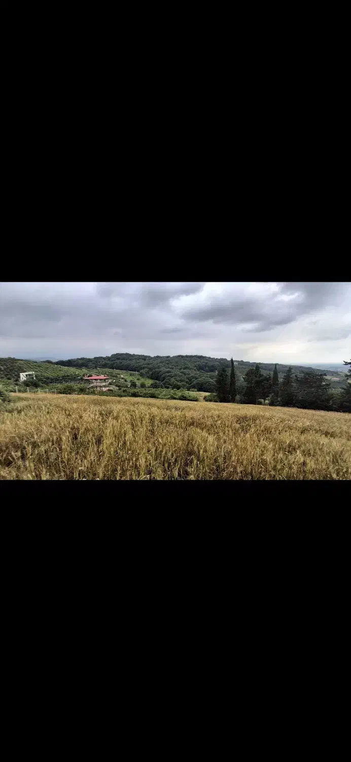 زمین کشاورزی جاده اسبوکلا