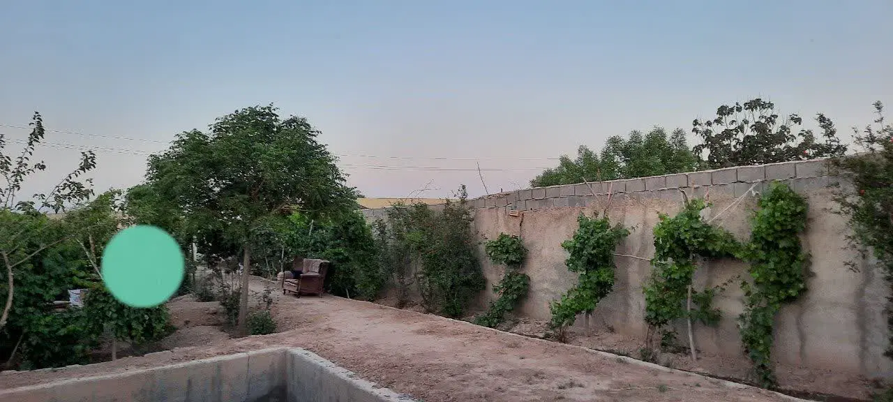 باغچه قشلاق جیتو