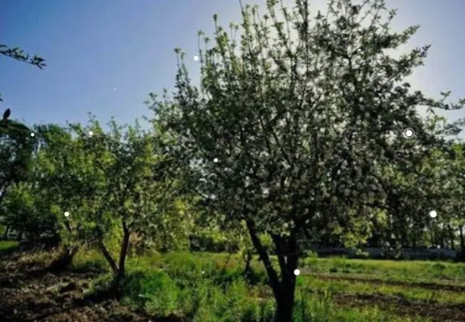 فروش زمین