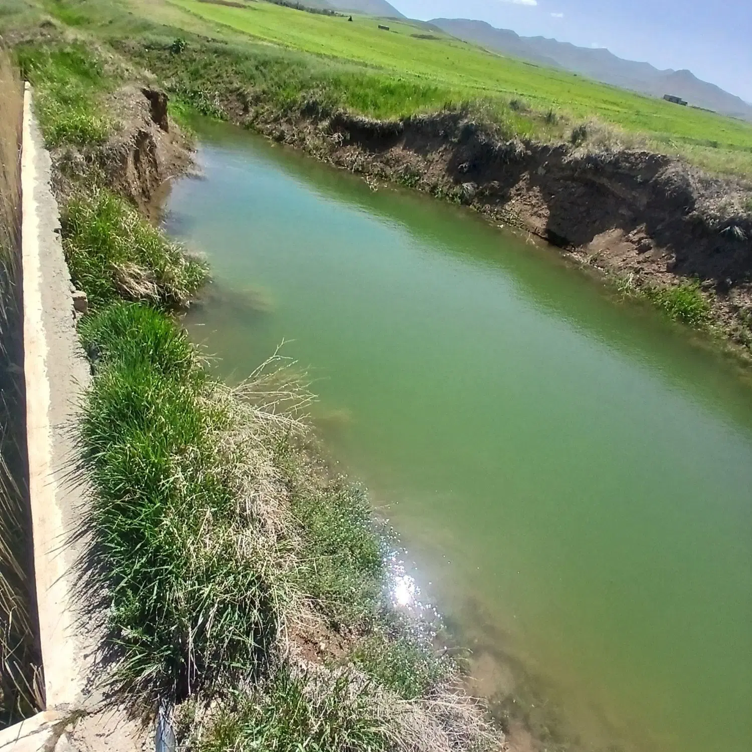 باغ و زمین کشاورزی