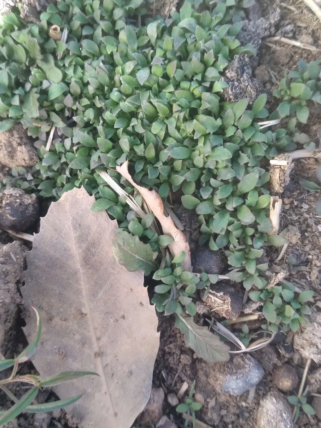زیر زمین قدیمی