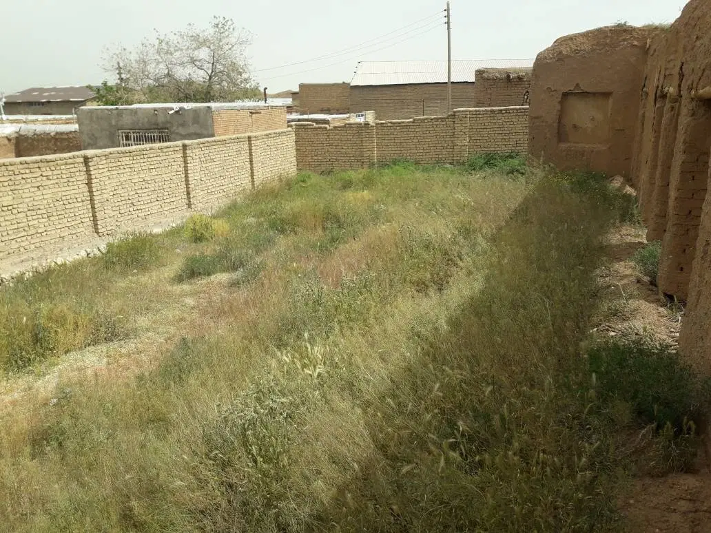 زمین چهار،دیواری