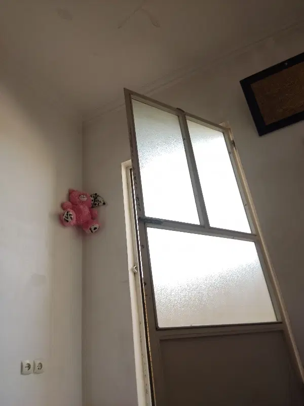 هم خونه خانم