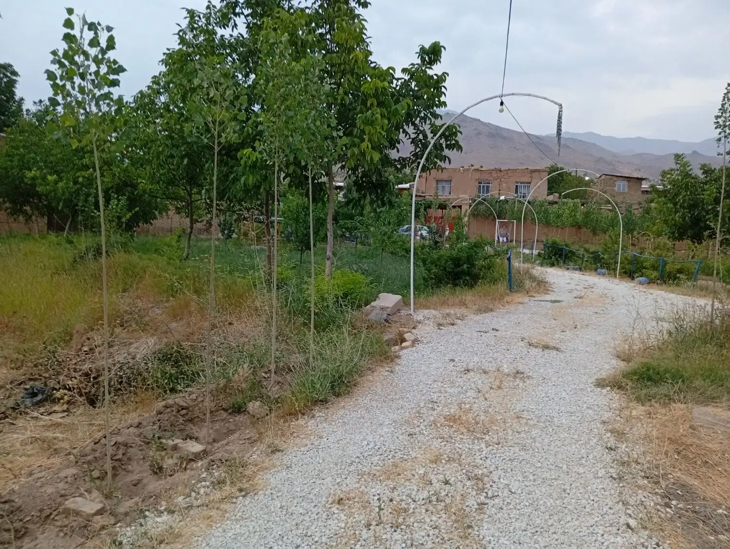 زمین مسکونی قابل ساخت روستای قلعه نوروز