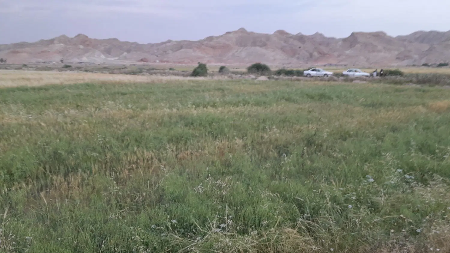 فروش زمین کشاورزی باغی