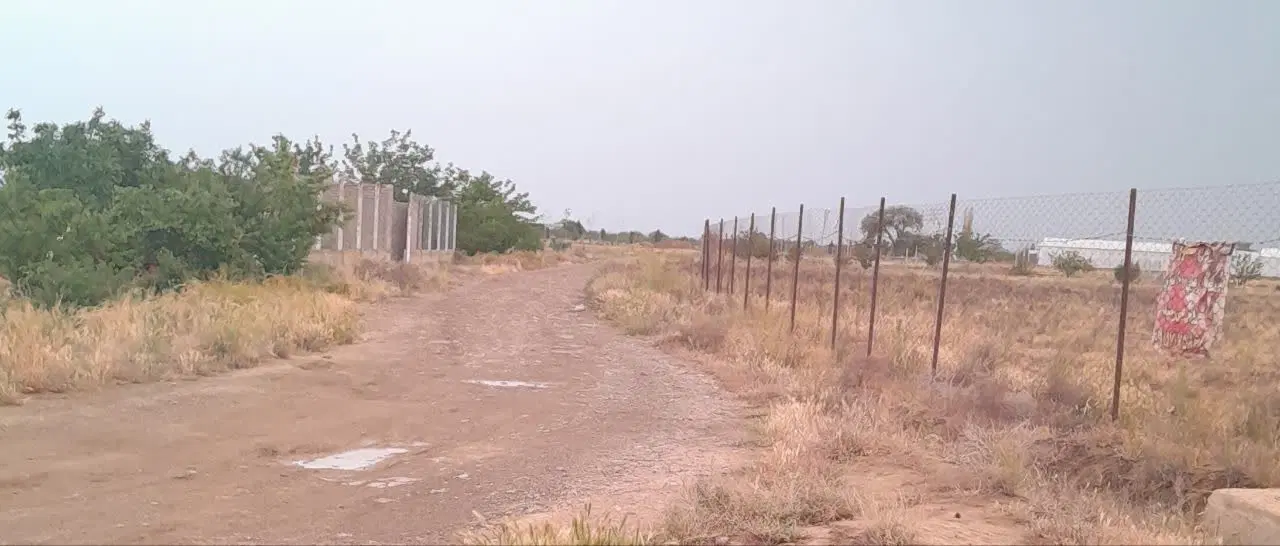 زمین 1000متری باغچه ای