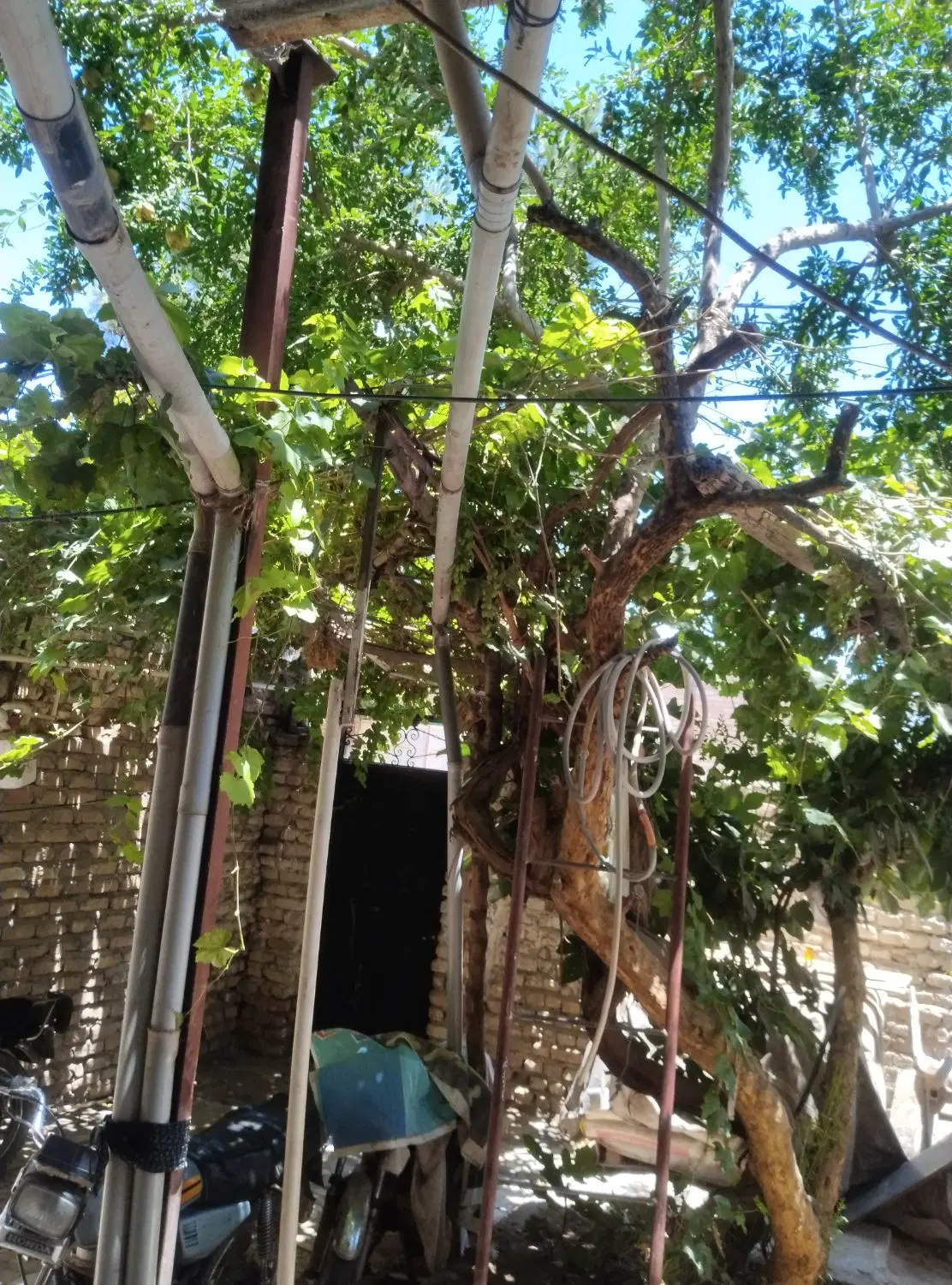 خانه