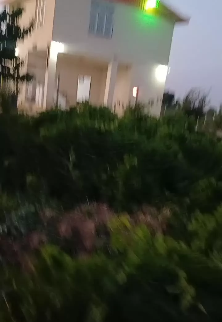 باغچه انگور ۵۰۰ متری سند تکبرگ انشعاب برق