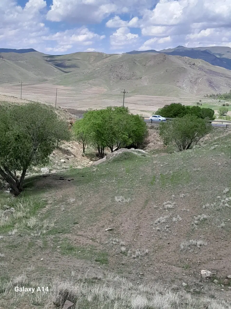 باغ و زمین در تهم