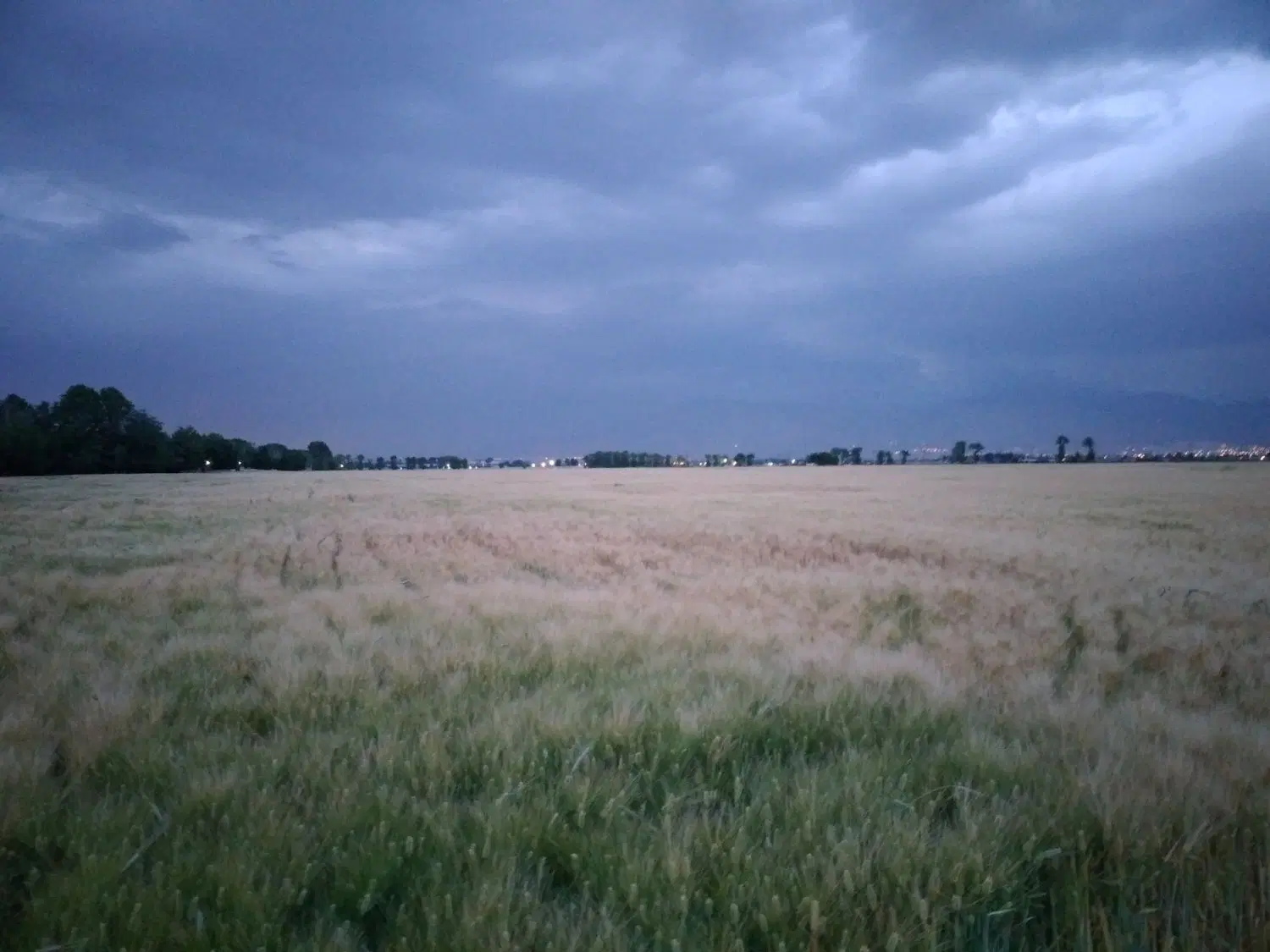فروش زمین صنعتی
