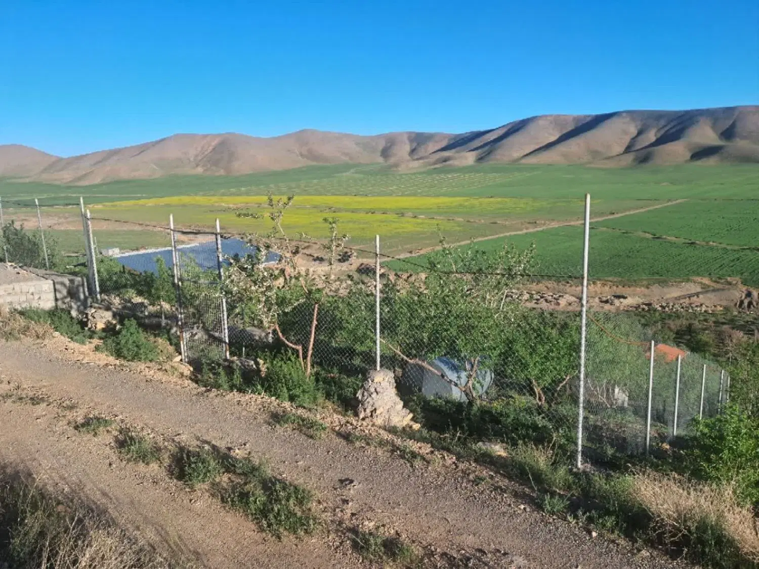 فروش فوری باغ در روستای هرچگان