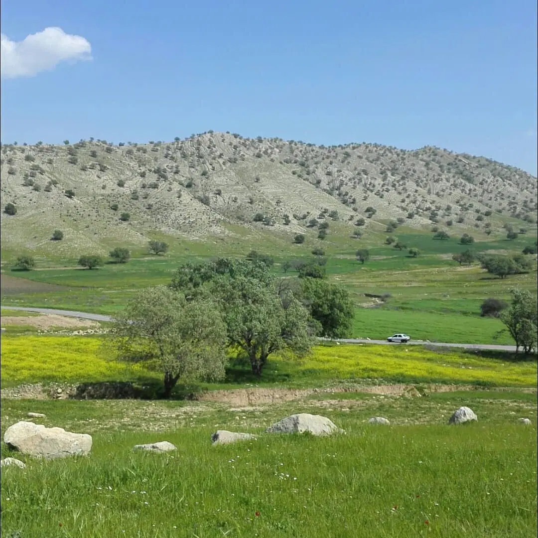 زمین باغ انار