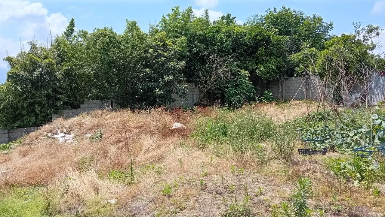 زمین مسکونی با پروانه ساخت