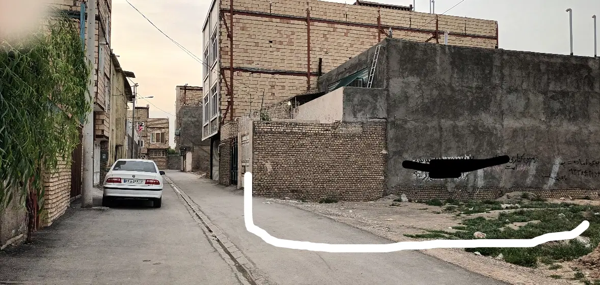 کشف شمشاد صدمترزمین با سندوپروانه