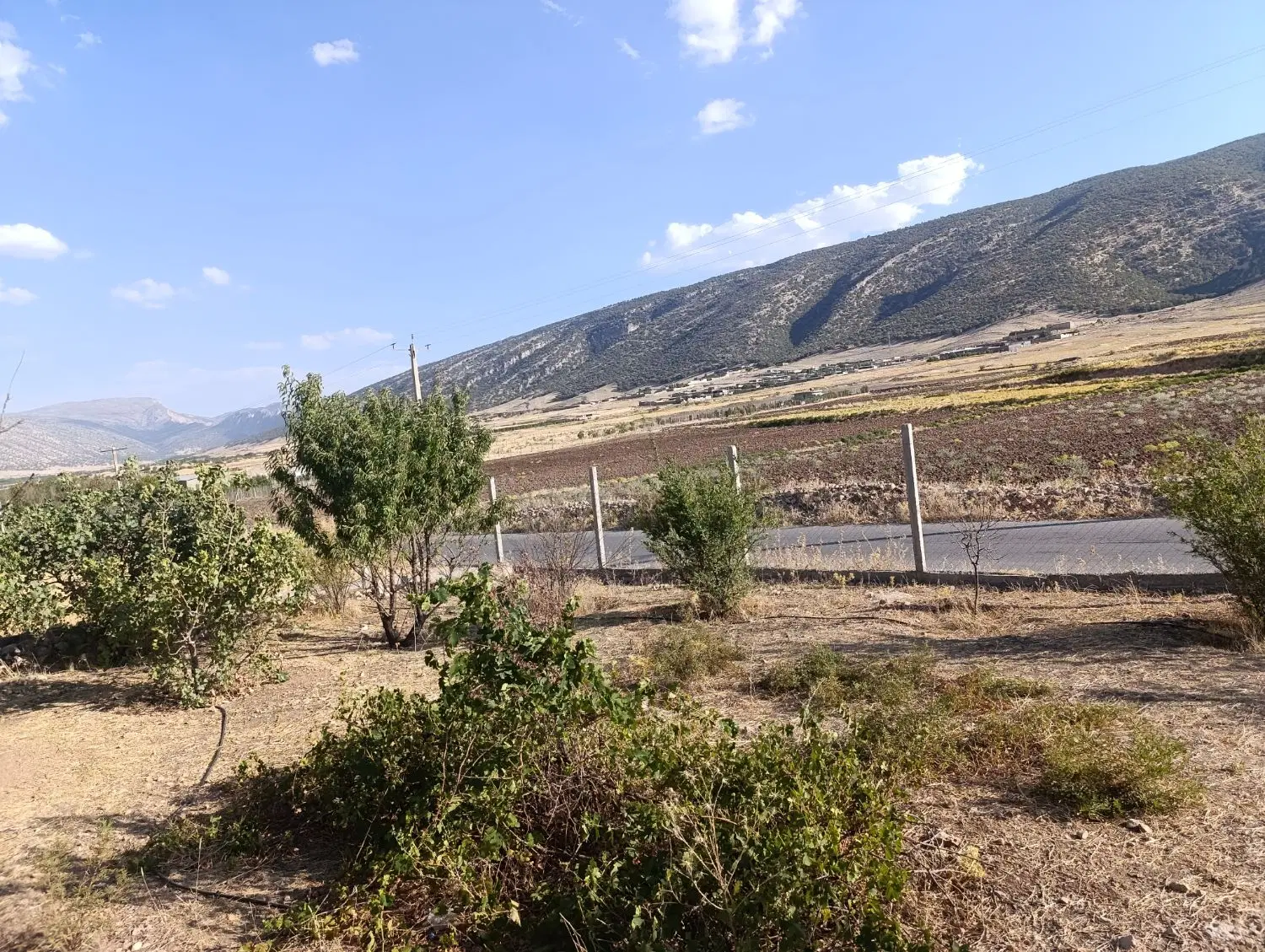 باغ بادام پسته و انگور ایوان غرب