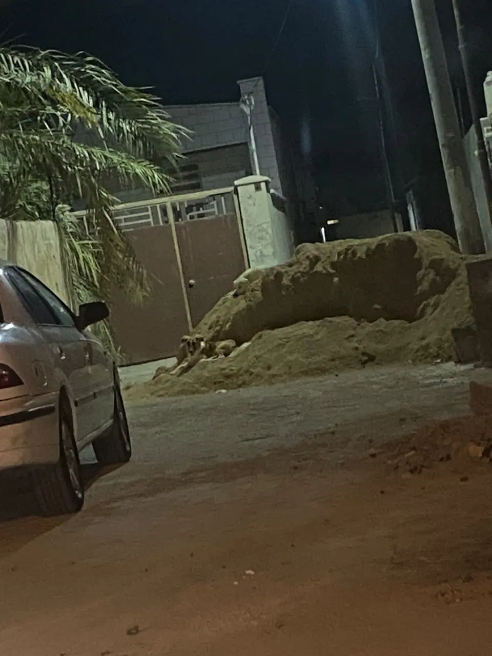زمین یک هکتاری