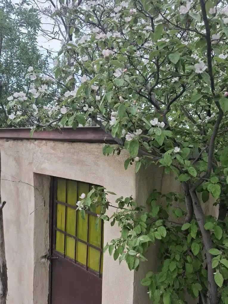 باغ دره مرادبیگ